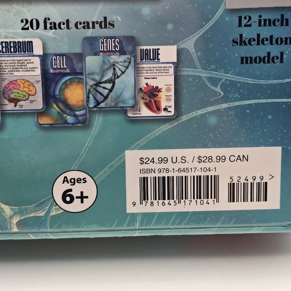 NEW Learning Adventures Human Body 12